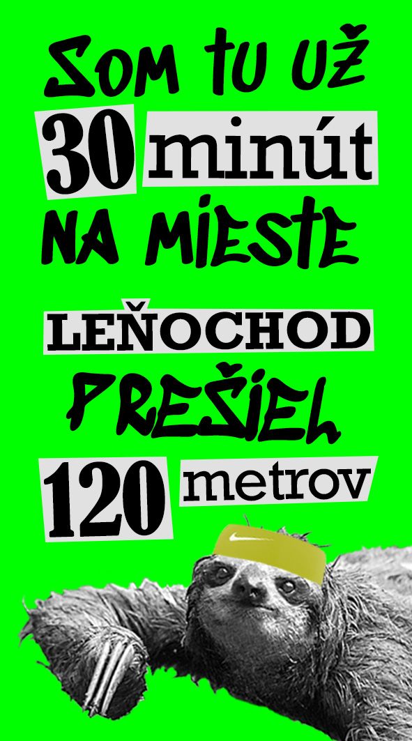 Časolepky