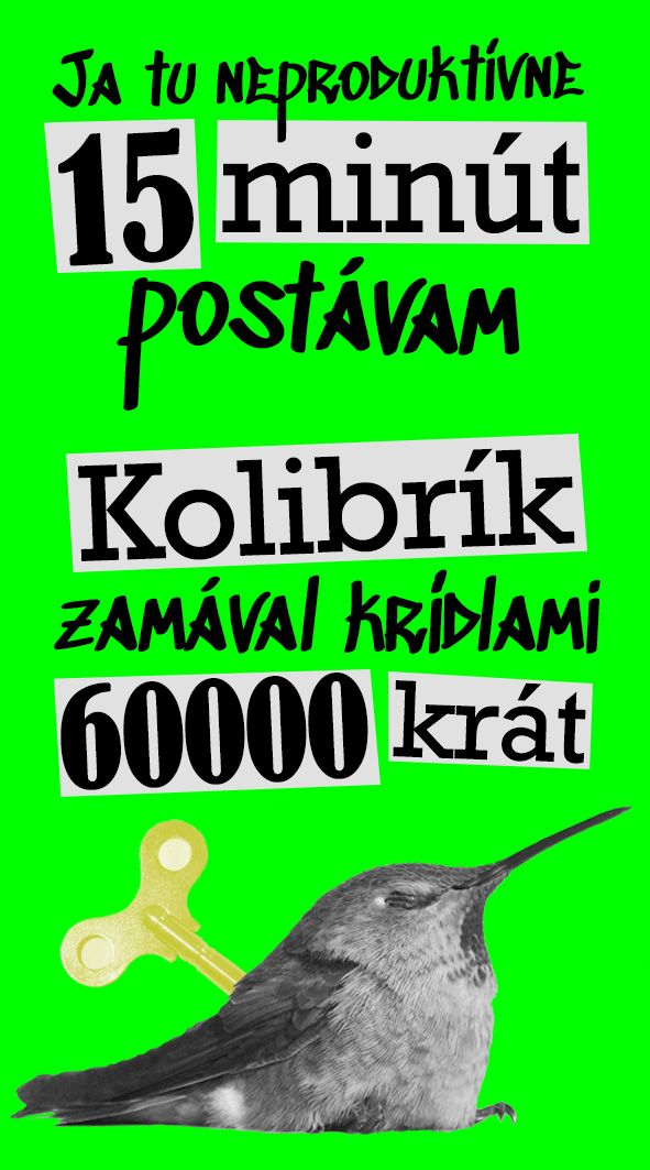 Časolepky
