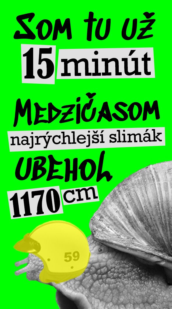 Časolepky