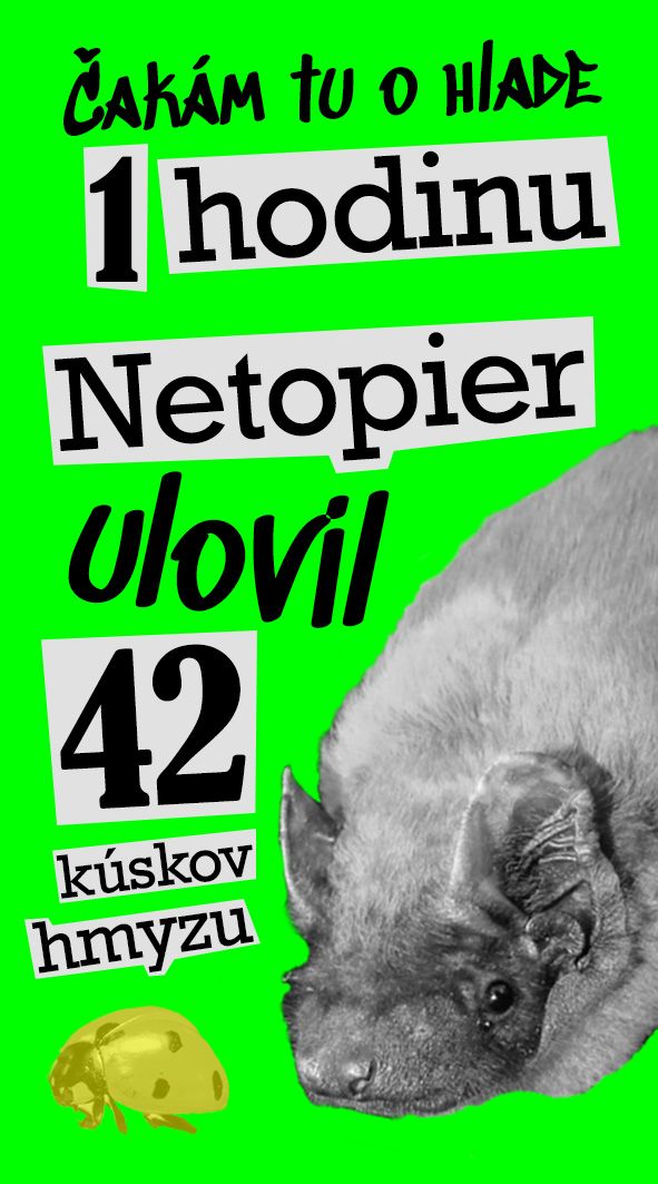 Časolepky