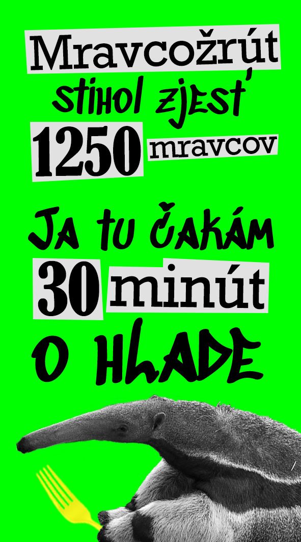 Časolepky